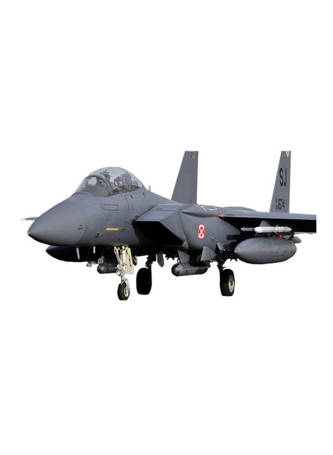 USAF F-15E Seymour Johnson Model Kit 12295