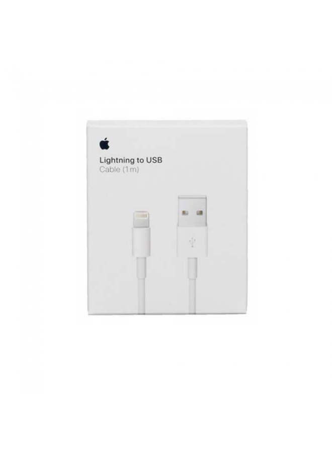 2 in 1 Pack of Apple 5W USB Power Adapter and Lightning USB Cable 1m white