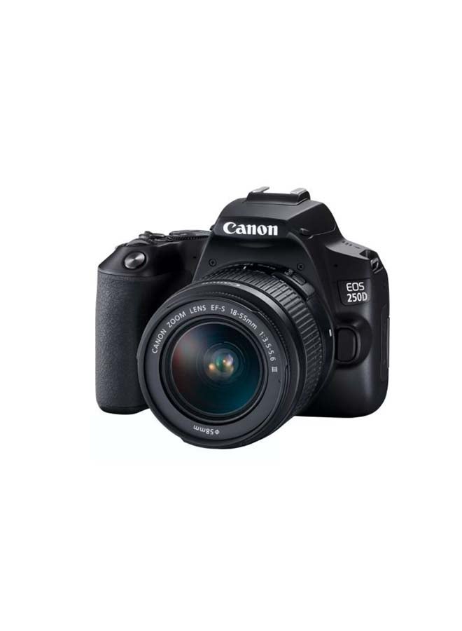 EOS 250D DSLR With EF-S 18-55mm f/3.5-5.6 III + EF 75-300mm f/4-5.6 III USM 24.1MP LCD