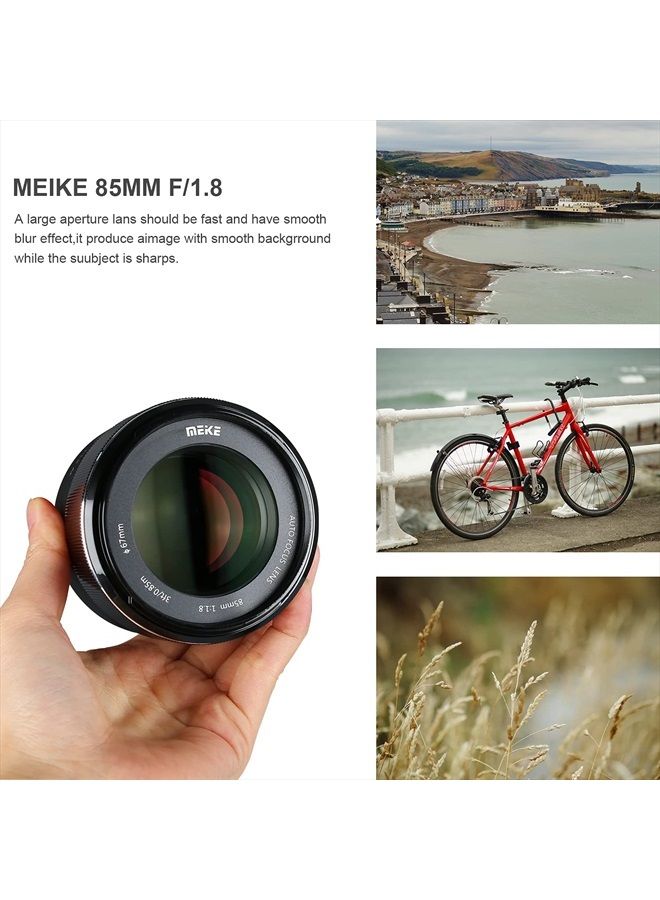 85mm f1.8 Large Aperture Full Frame Auto Focus Telephoto Lens for Canon EOS EF Mount Digital SLR Camera Compatible with APS C Bodies Such as 1D 5D3 5D4 6D 7D 70D 550D 80D