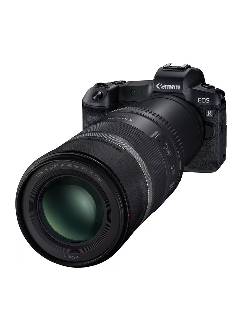 RF 600mm F11 IS STM Lens