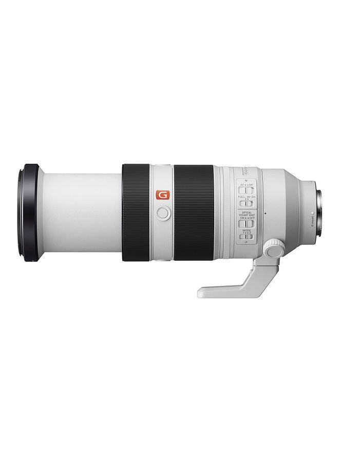 Fe 100 400mm G Master Super Telephoto Zoom Lens, Sel100400gm, Black, Sel100400gm.Syx