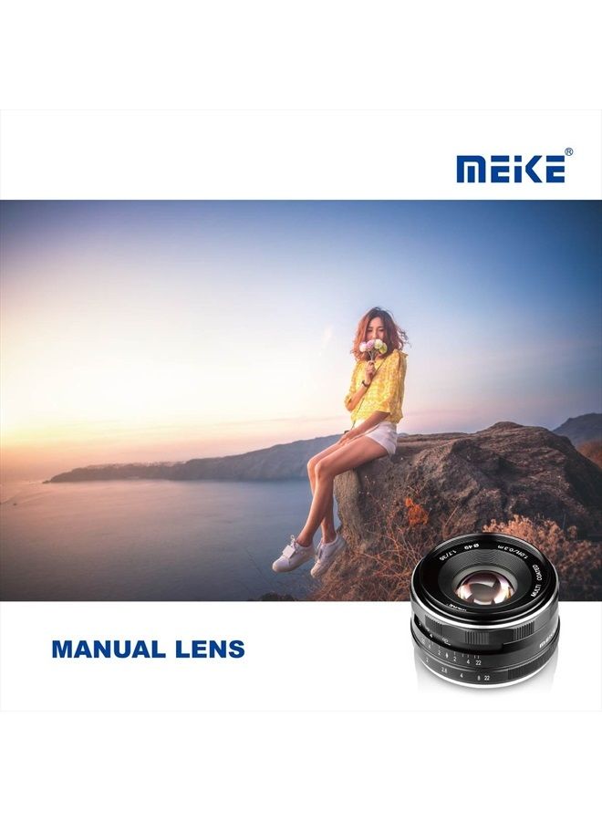 35mm F1.7 Large Aperture Manual Focus Prime Fixed Lens APS-C Compatible with Sony E-Mount Mirrorless Cameras NEX 3 3N NEX 5R NEX 6 7 A6600 A6400 A5000 A5100 A6000 A6100 A6300 A6500 A3000