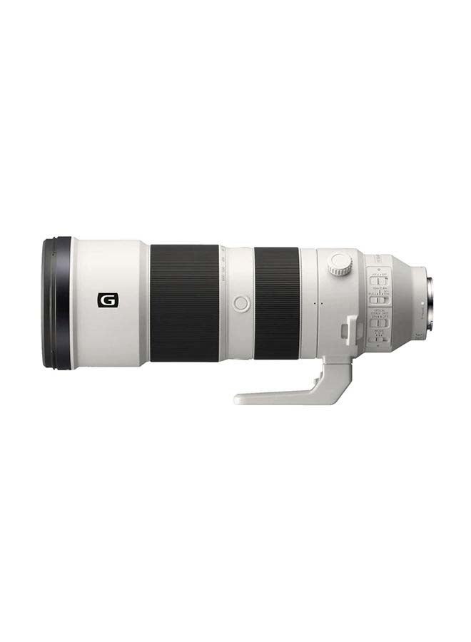 FE 200-600mm F5.6-6.3 G OSS Lens | Super Telephoto Zoom SEL200600G Silver/Black