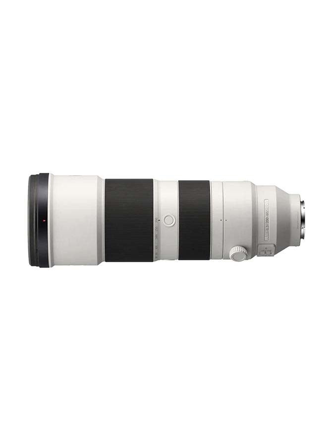 FE 200-600mm F5.6-6.3 G OSS Lens | Super Telephoto Zoom SEL200600G Silver/Black