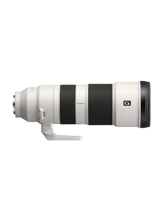 FE 200-600mm F5.6-6.3 G OSS Lens | Super Telephoto Zoom SEL200600G Silver/Black