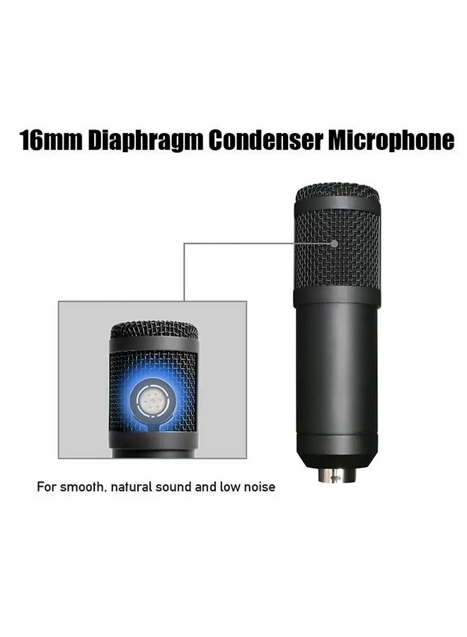 Recording Studio Mic Loud Sound Condenser Microphone