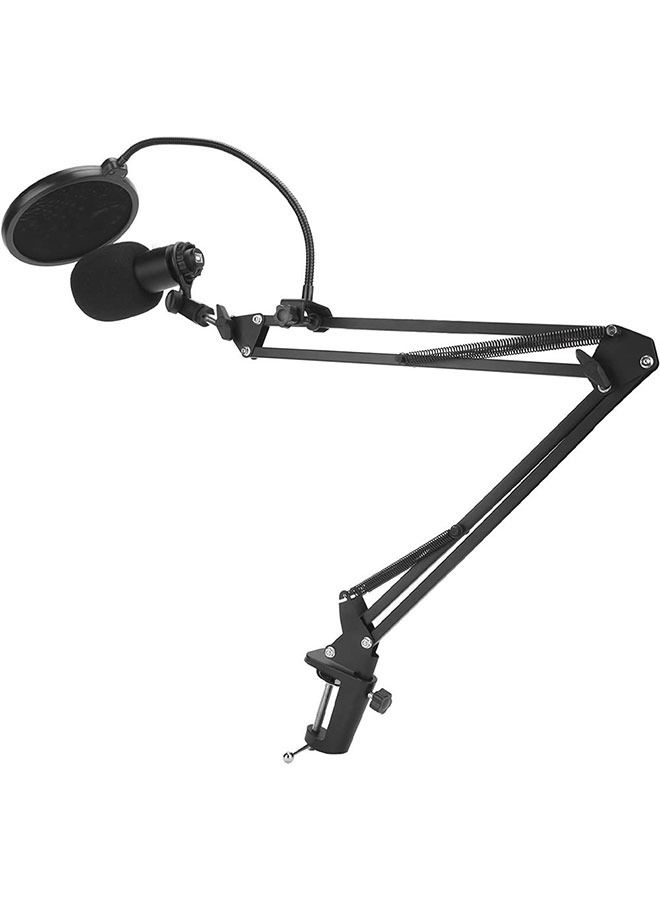 Professional Condenser Microphone With USB