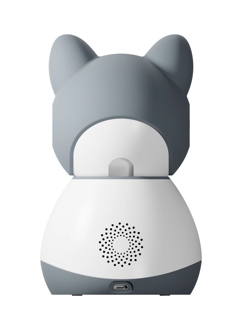 Smart Camera B250 works with Google Alexa Tesla Home App