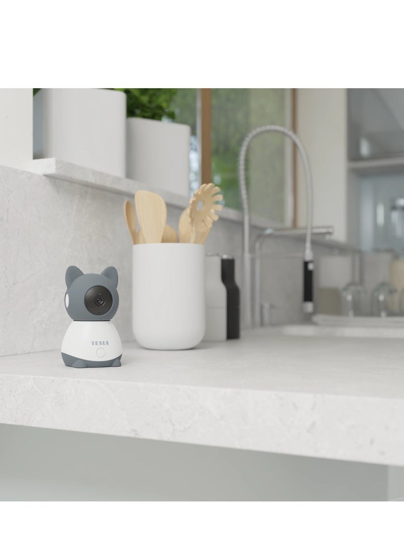 Smart Camera B250 works with Google Alexa Tesla Home App