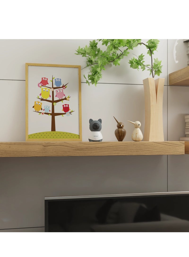 Smart Camera B250 works with Google Alexa Tesla Home App