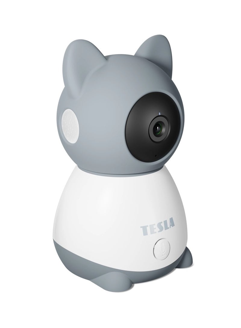 Smart Camera B250 works with Google Alexa Tesla Home App