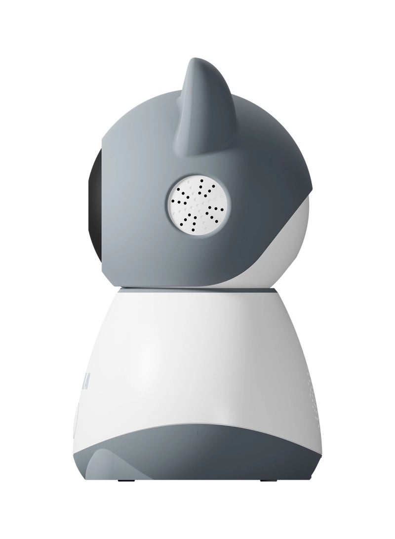 Smart Camera B250 works with Google Alexa Tesla Home App