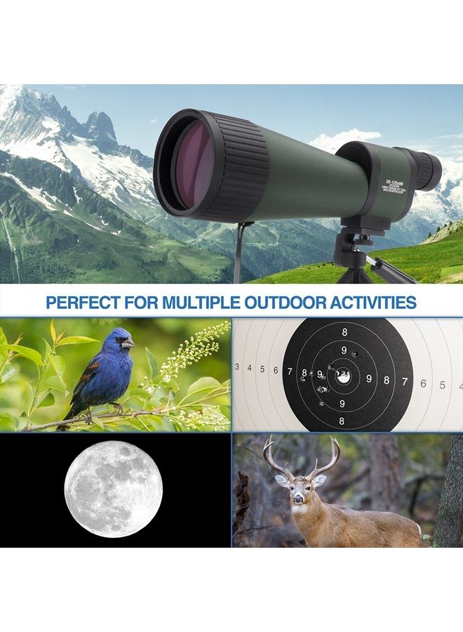 Benchmark 25-125x88 Waterproof Straight Spotting Scope, Green/ Black