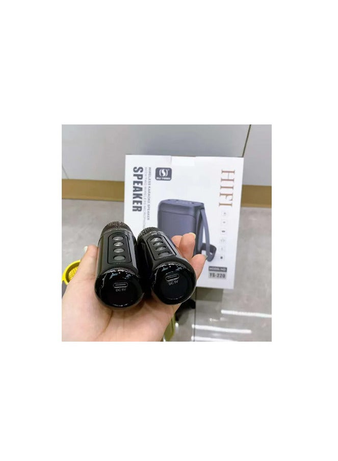 YS-200 Double Wireless Microphone Karaoke Speakers 100W Peak High-power Bluetooth Speaker Outdoor Event Party K-Song Speaker box. (Black)