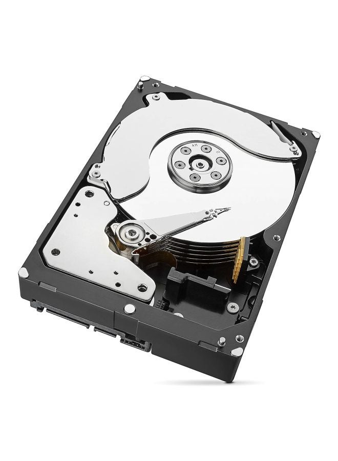 Desktop Internal Hard Disk Drive 8.0 TB