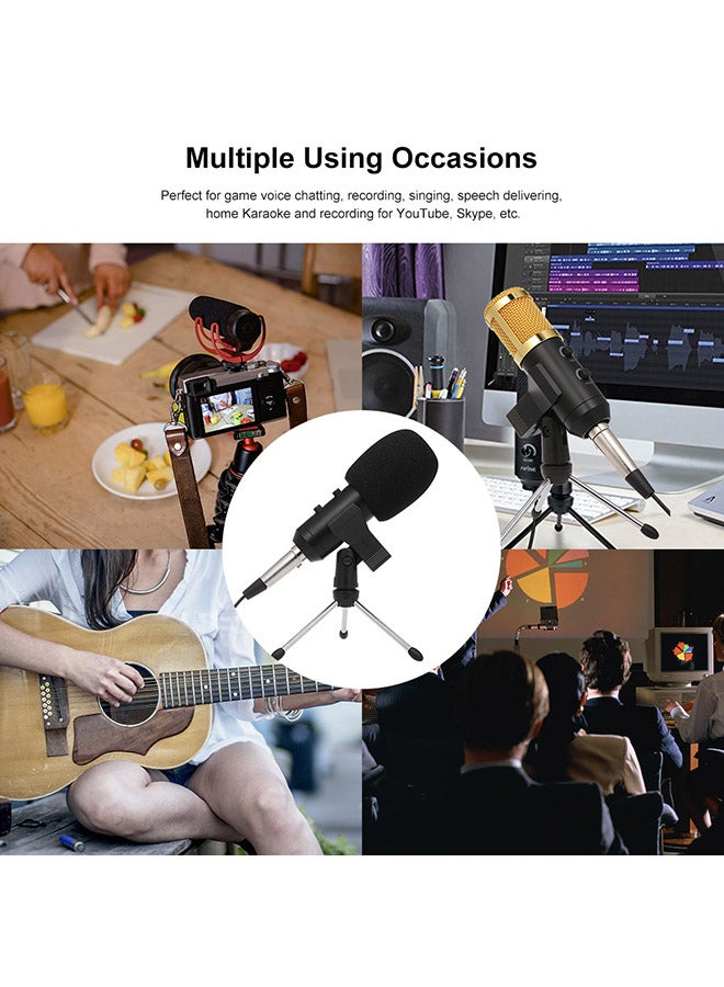 USB Condenser Microphone V543 Black