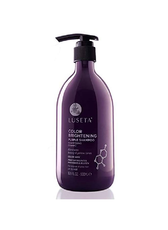 Luseta Purple Shampoo For Blonde Hair 169Oz Women Hair Shampoo For Grey Hair And Color Treated Hair Best Purple Shampoo For Curly And Damaged Hair Sulfate & Paraben Free