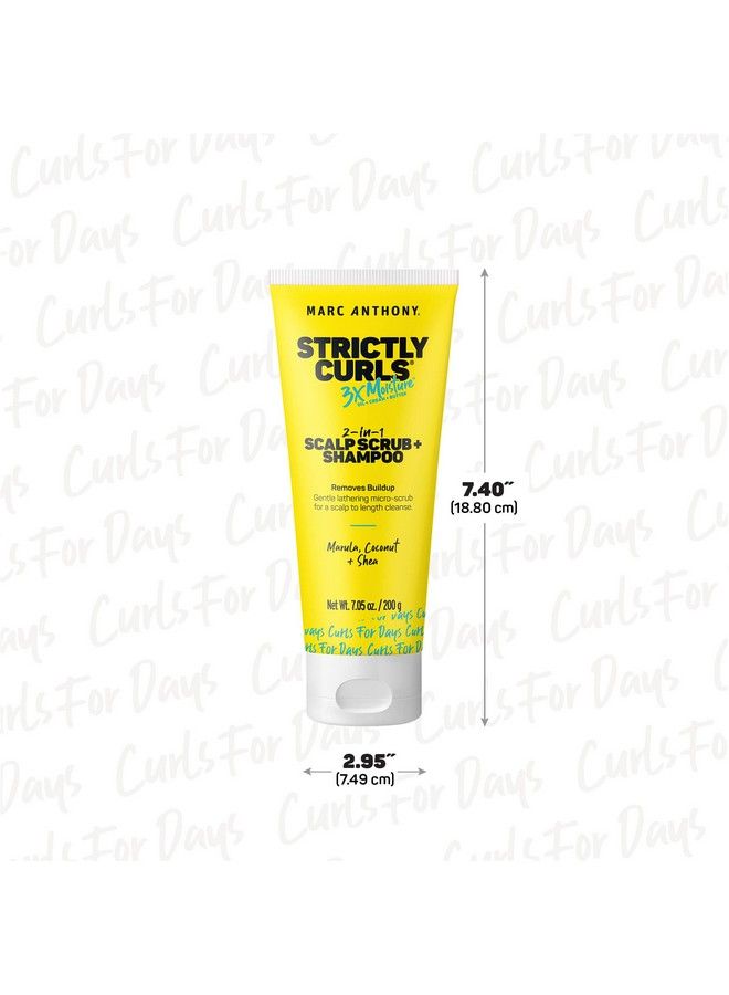 2In1 Scalp Scrub And Shampoo Strictly Curls Deep Cleansing & Exfoliating Shampoo For Curly Hair Removes Buildup With Coconut Oil Marula Oil Shea Butter & Bentonite Clay 7.05 Oz