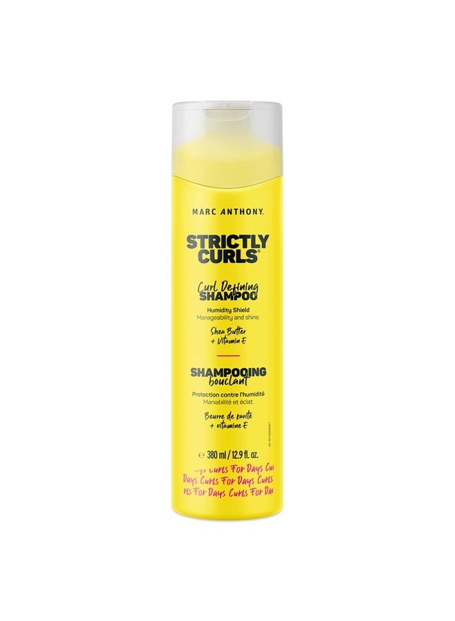 Strictly Curls Curl Defining Shampoo, 12.9 Ounces (129319)