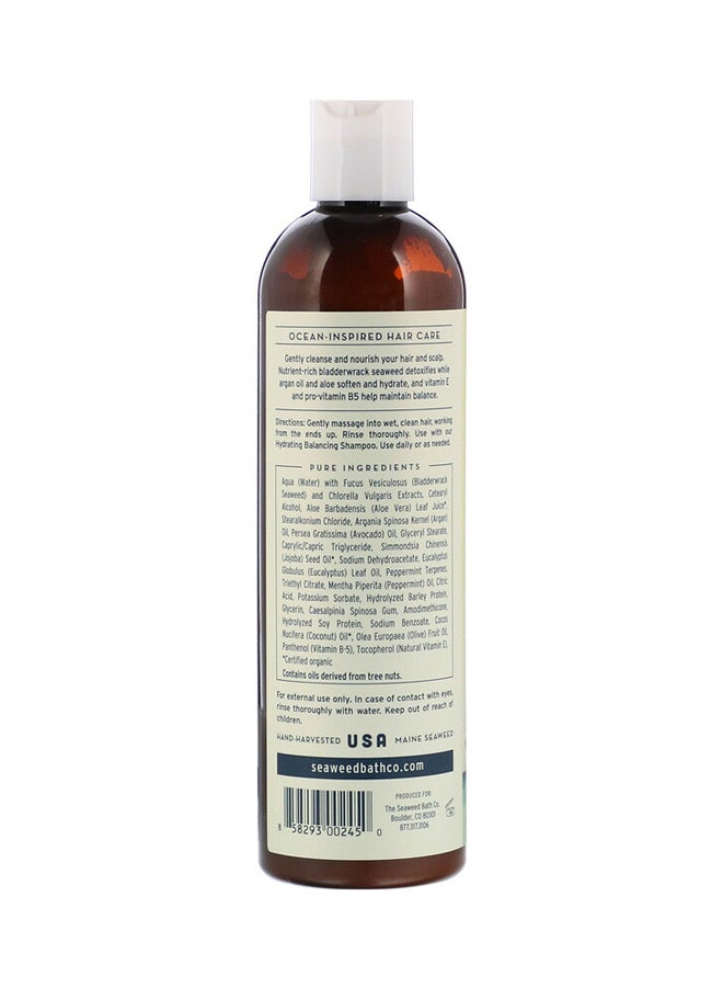 Balancing Argan Conditioner