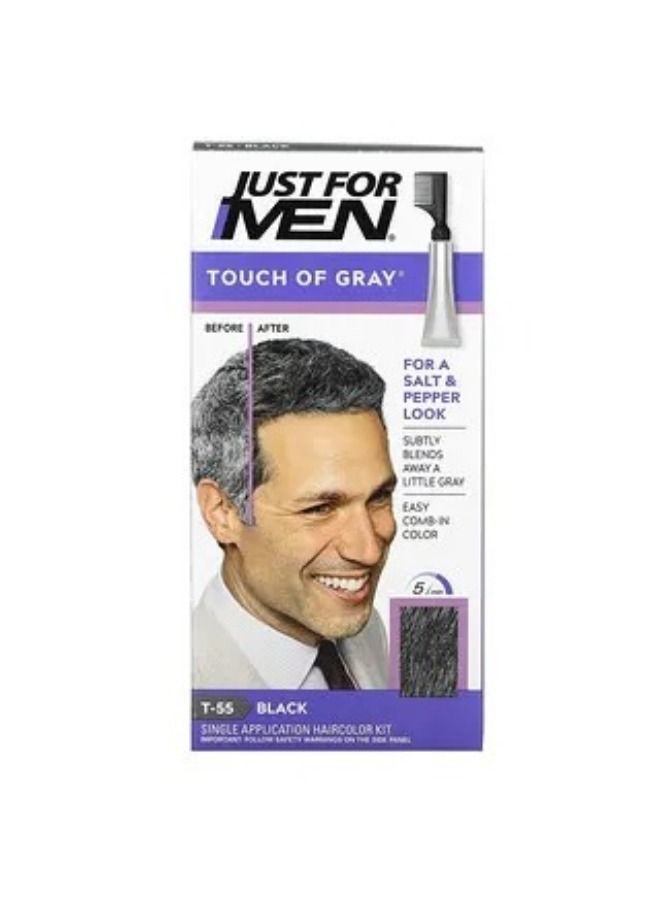 Just for Men Touch of Gray Comb-In Hair Color Black T-55 Single Application Haircolor Kit