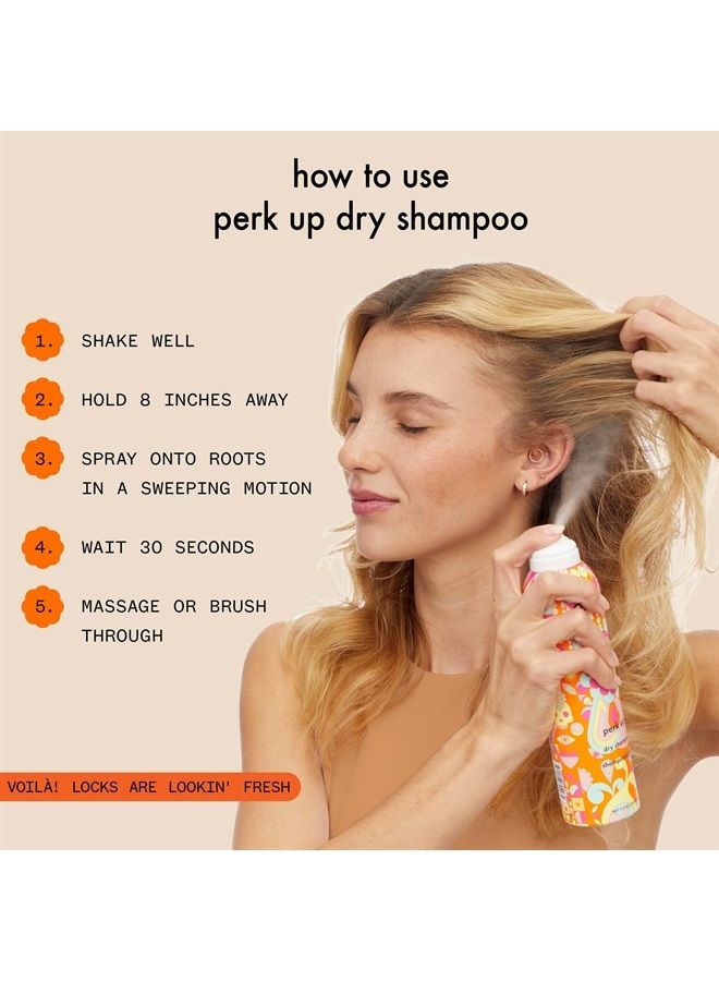 Perk Up Dry Shampoo, 5.3 oz. (Pack of 1)