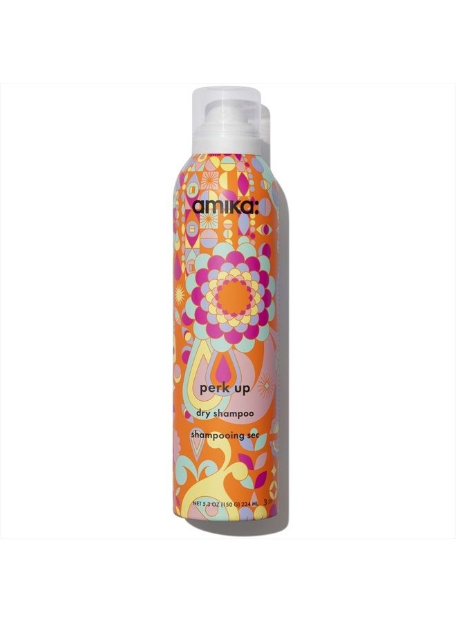 Perk Up Dry Shampoo, 5.3 oz. (Pack of 1)