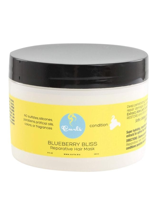 Blueberry Bliss Reperative Hair Mask