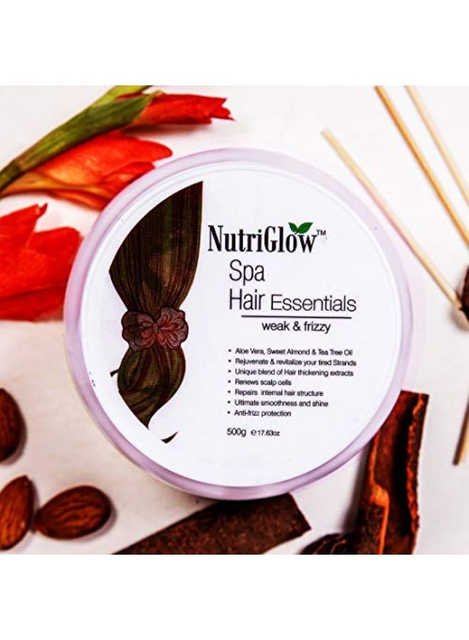 Hair Spa For Dry And Damaged Hair| Deep Conditioning Repair Treatment For Frizz Free Hair Care With Smooth, Shining Hair Instantly|Paraben & Sulphate Free (500 Gm)