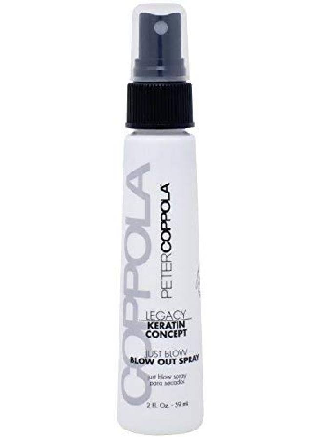 Keratin Concept Just Blow Blow Dry Spray Heat Protectant Spray For Hair Reduces Blow Dry Time Smoothes And Straightens All Hair Types Conditions And Adds Shine Travel Size 2 Oz