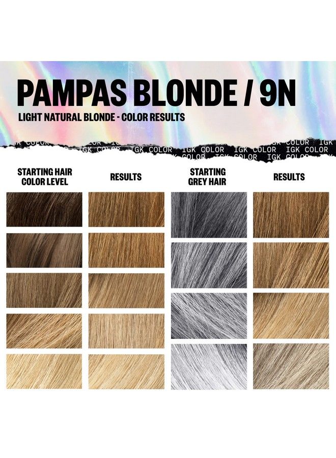 Permanent Color Kit Pampas Blonde Light Natural Blonde 9N | Easy Application + Strengthen + Shine | Vegan + Cruelty Free + Ammonia Free | 4.75 Oz