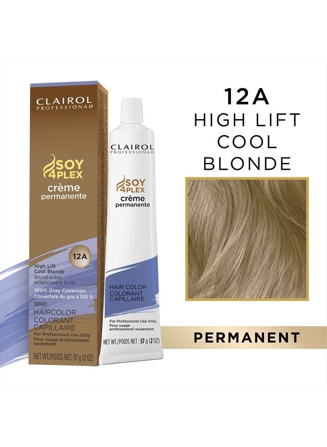 Permanent Crème, 12a High Lift Cool Blonde, 2 oz