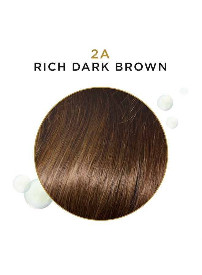 Beautiful Advanced Gray Solutions 2a Rich Dark Brown, 3 oz