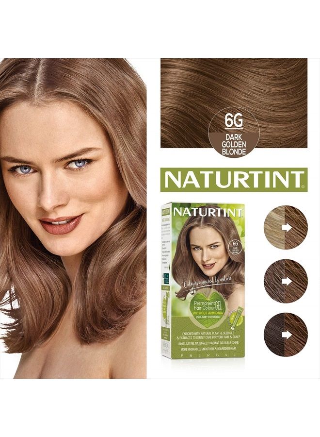 Permanent Hair Color 6G Dark Golden Blonde (Pack of 1), Ammonia Free, Vegan, Cruelty Free, up to 100% Gray Coverage, Long Lasting Results