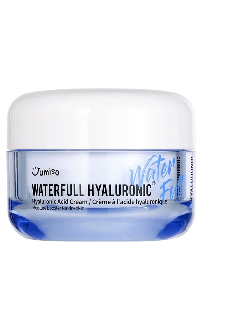 Jumiso Waterfull Hyaluronic Cream Face Moisturizer