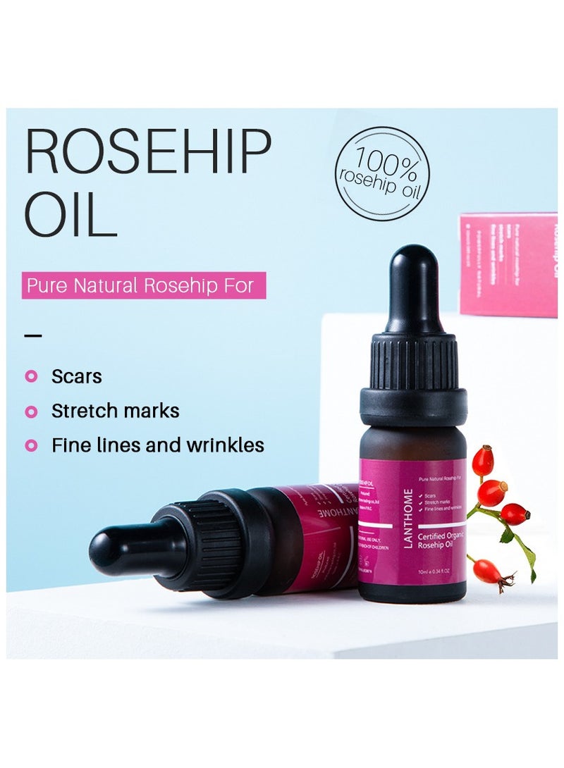 Lanthome Rosehip Oil Essence Moisturizing and Moisturizing Skin Care 10ml Facial Care Essential Oil