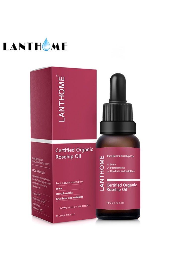 Lanthome Rosehip Oil Essence Moisturizing and Moisturizing Skin Care 10ml Facial Care Essential Oil