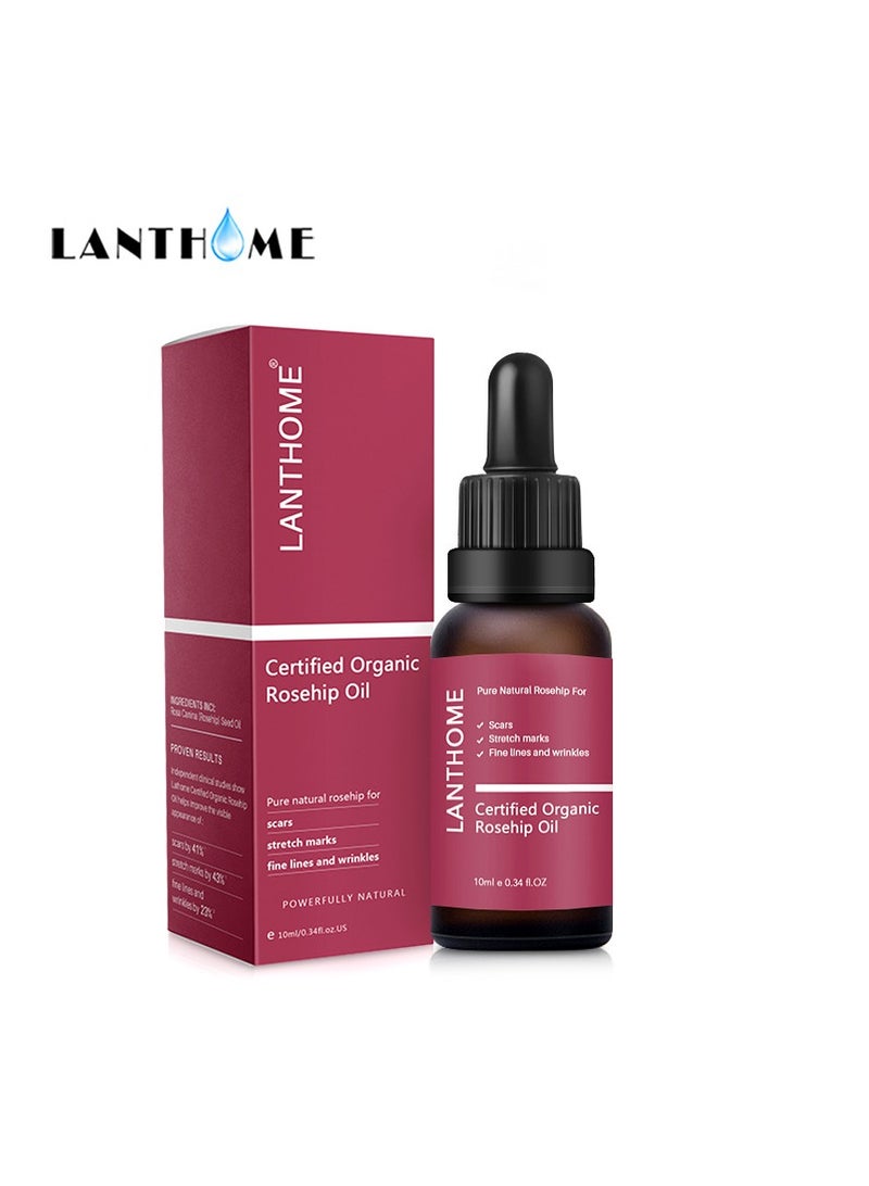 Lanthome Rosehip Oil Essence Moisturizing Skin Care 10ml