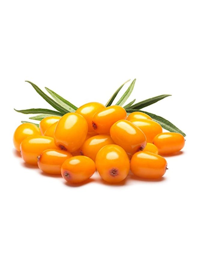 Sea Buckthorn Berry Oil