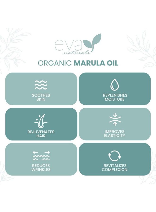 Organic Marula Oil For Face And Hair 100% Virgin Moisturizing Beauty Oil Cold Pressed Natural Antiaging Formula Nongreasy Unrefined Rich In Omegas & Antioxidants 2Oz.