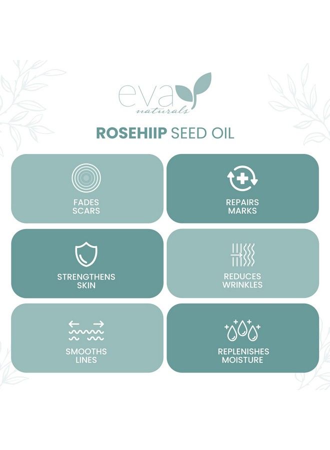 Pure Rosehip Seed Oil (2 Fl Oz) Rosehip Oil For Face Aids Stretch Mark And Scar Removal  Facial Oil Reduces Inflammation Collagen For Radiant Skin  Face Oil  Best Rose Hip Oil For Face