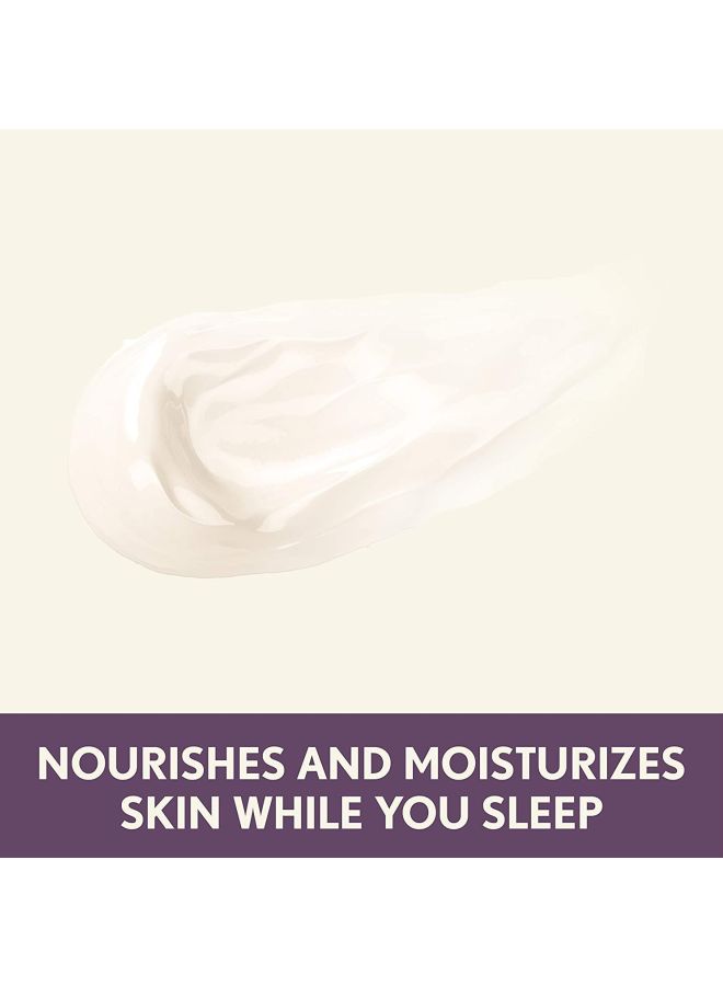 Absolutely Ageless Restorative Night Cream 48grams