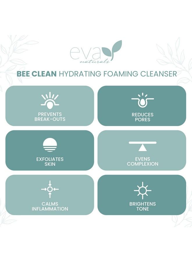 Bee Clean Hydrating Foaming Cleanser Moisturizing Nonstripping Daily Acne Face Wash For All Skin Types For Sensitive Skin Dry Skin & Acne Prone Skin Face Wash For Women 6 Fl Oz