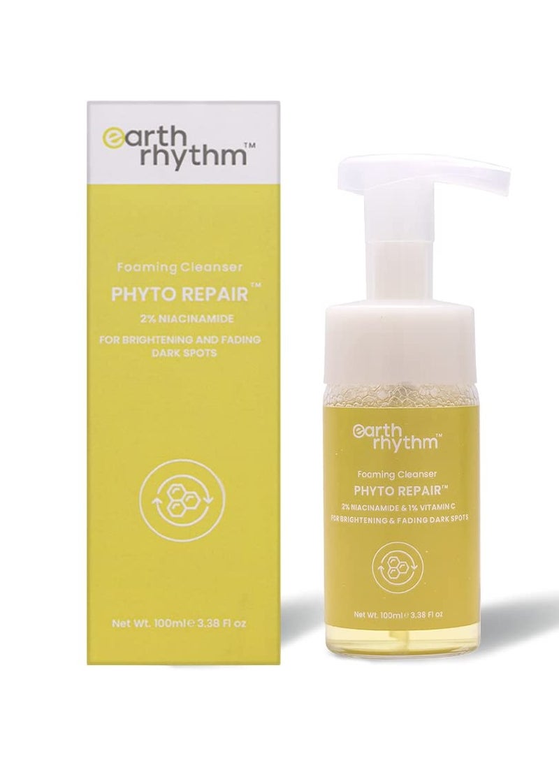 Earth Rhythm 2% Niacinamide Foaming Face Wash with 1% Vitamin C Brightens Skin 100ml