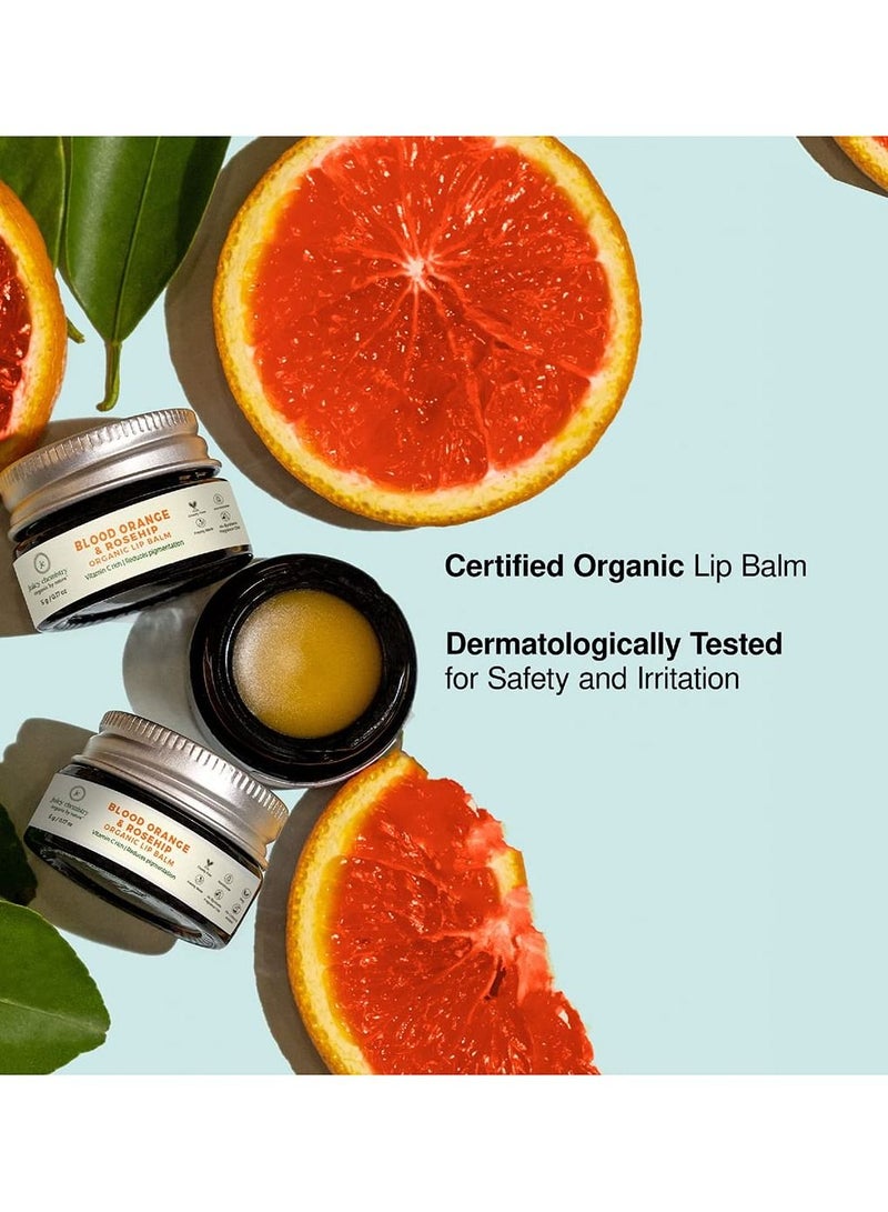 Juicy Chemistry Blood Orange and Rosehip Lip Balm, 5g Organic Lip Balm For Dry, Chapped and Pigmented Lips, Ecocert Certified Organic For Unisex