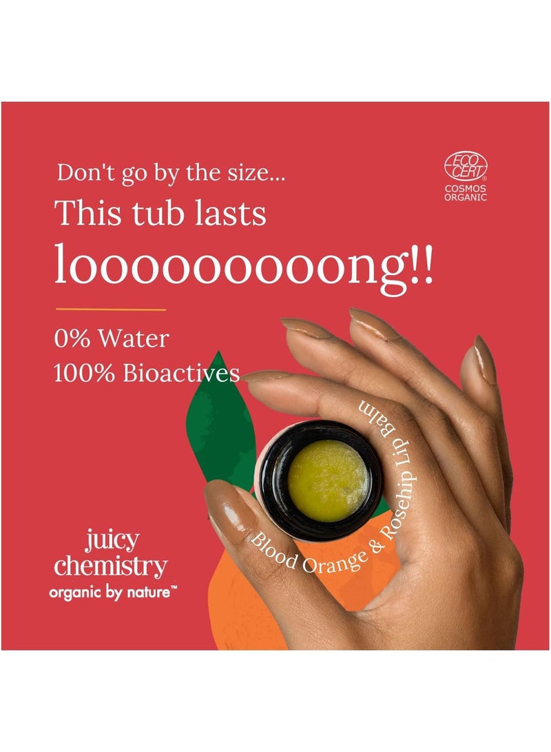 Juicy Chemistry Blood Orange and Rosehip Lip Balm, 5g Organic Lip Balm For Dry, Chapped and Pigmented Lips, Ecocert Certified Organic For Unisex