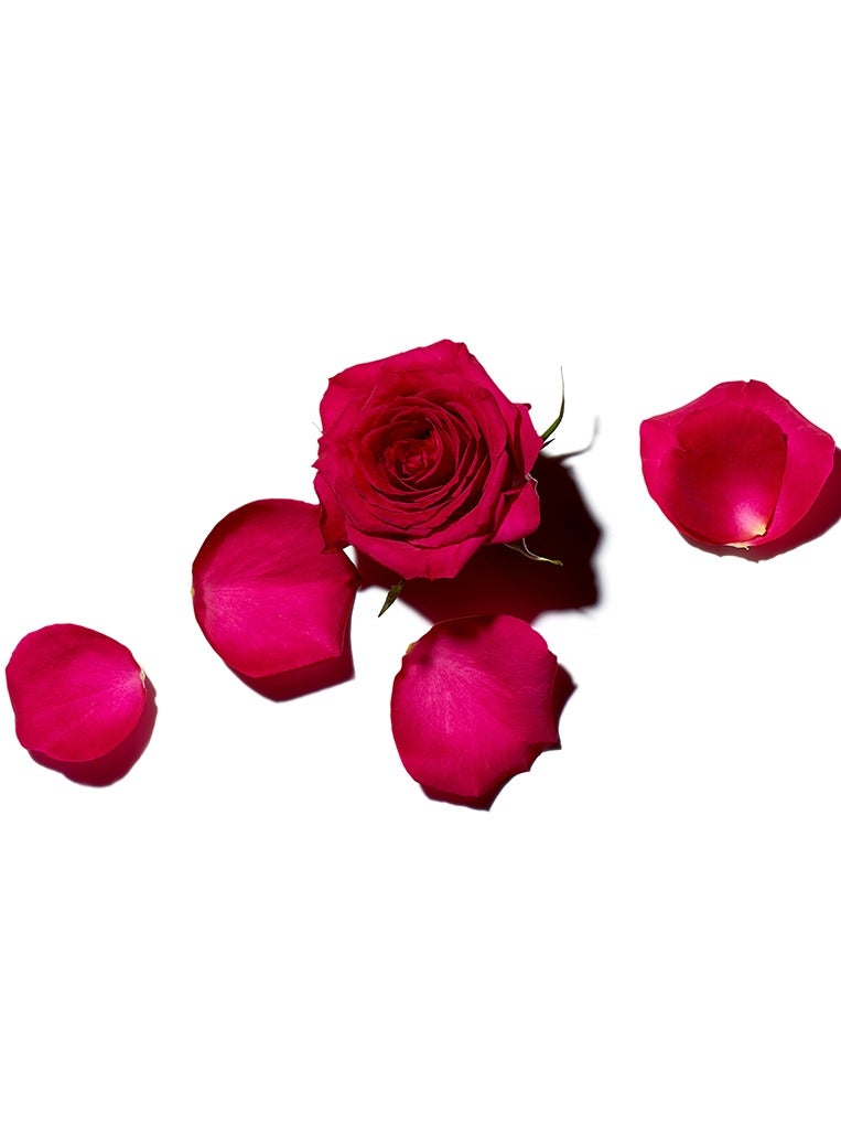 Benamor Rose Amelie Moisturising Lip Cream with Shea Butter Argan Oil Aloe Vera Natural Ingredients Paraben Free Vegan Hydrating 10ml