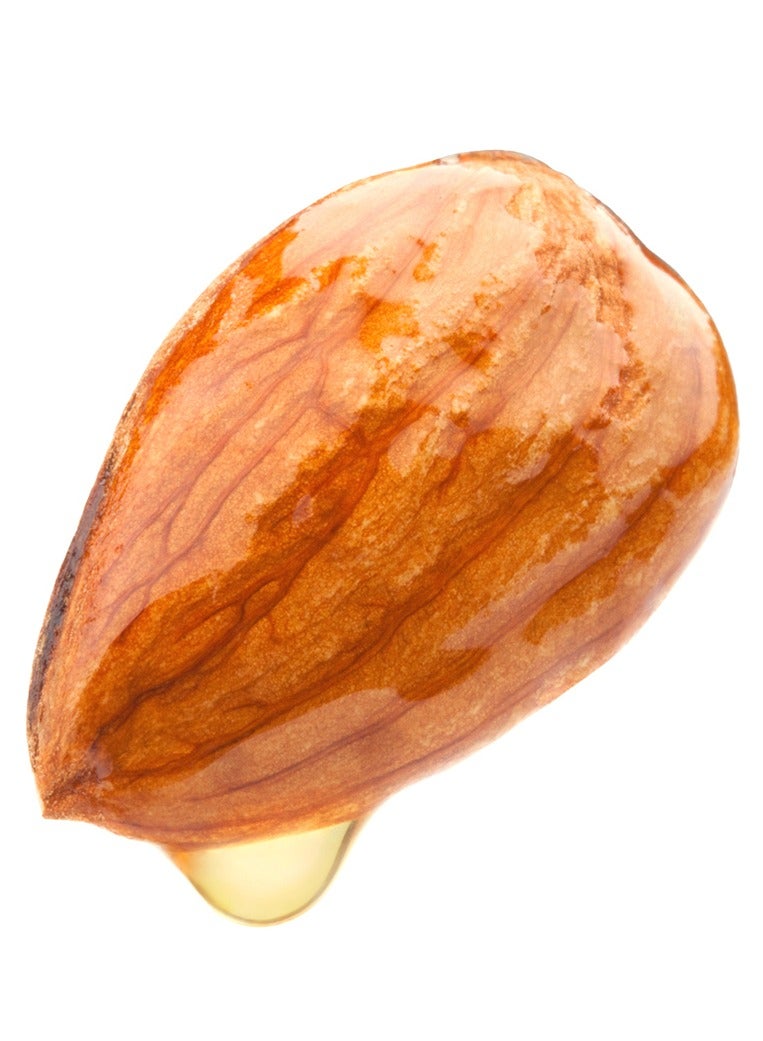 Benamor Gordissimo Lip Cream Shea butter and Almond Oil Protects Nourishes Moisturizes and Softens the Lips Hydrating Lip Cream 10ml