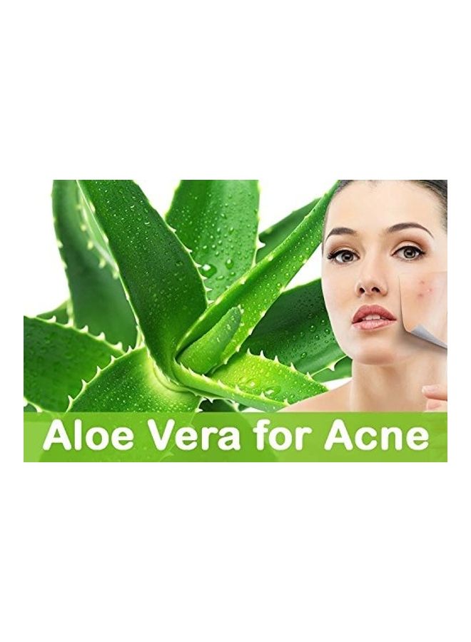 Combo Of 2, Aloe Vera Gel Raw and Tea Tree Oil 15ml